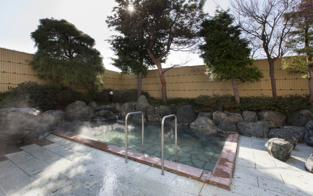 Onsenkenkohoyo Center Lotus Inn