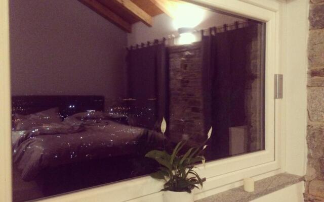 Il riccio di Ricciano