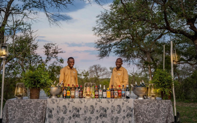 Thornybush Game Lodge