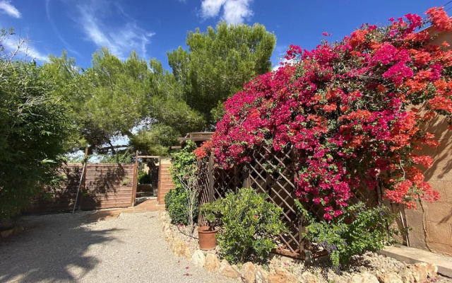 Finca Sa Canova Agroturismo