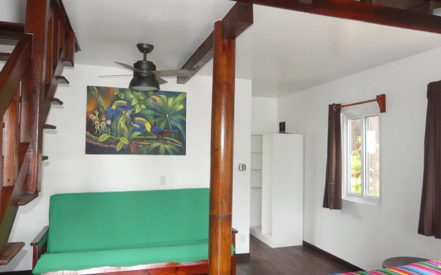 Green Parrot Beach Houses and Resort