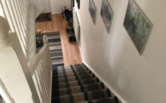 Staynorwich 69g - Hush View House