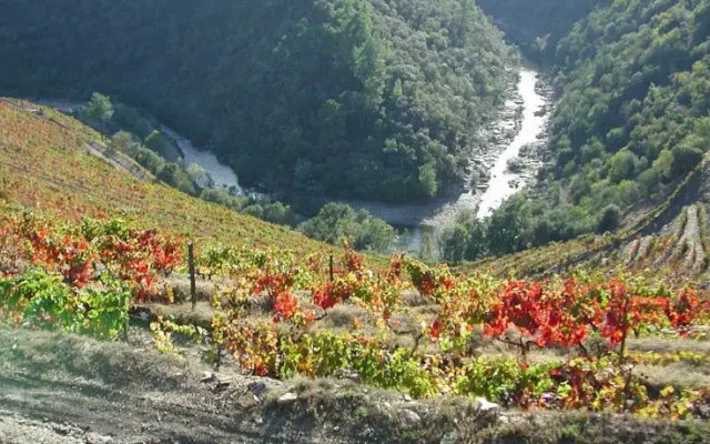 Quinta do Passadouro