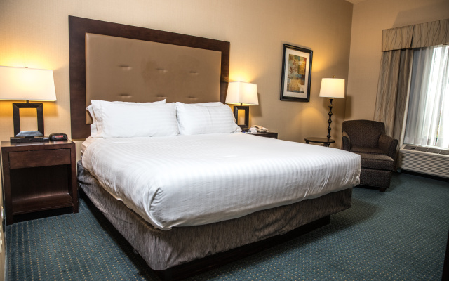 Holiday Inn Express Hotel & Suites Detroit-Novi by IHG