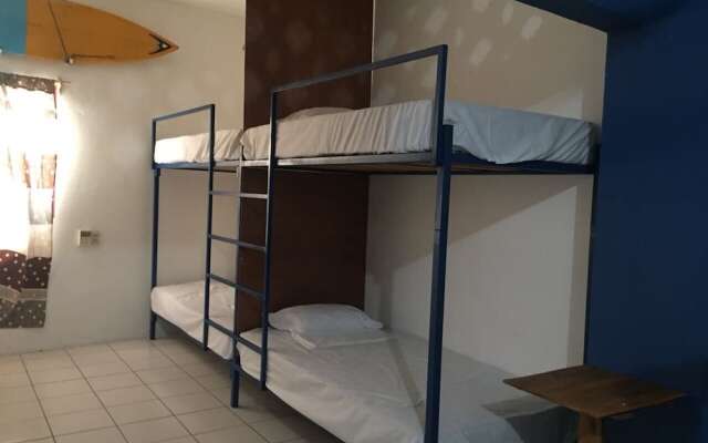 El Coyote Hostal and Surf - Hostel