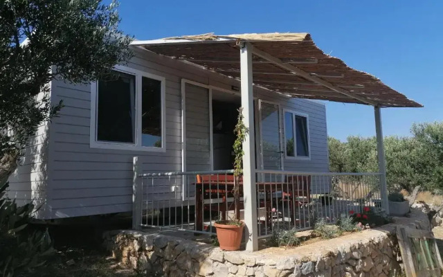 Camp Kopito