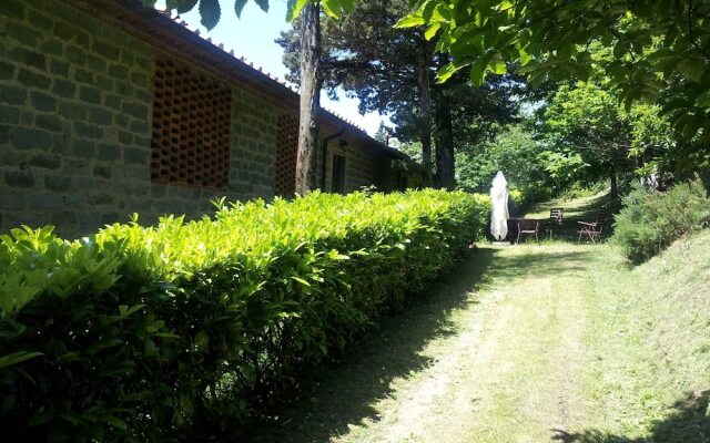 Amazing Stay in Tuscany Rustic Style