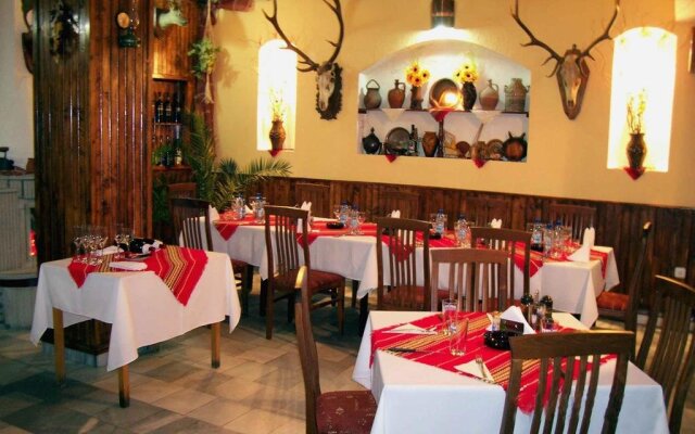 Hotel Bor