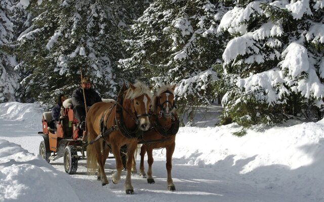 Relaxing Apartment in Seefeld in Tirol With Gardenter