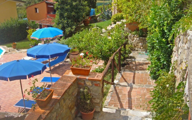 Alice Massarosa in Massarosa