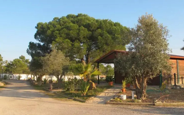 Quinta Vita - Vila Limao