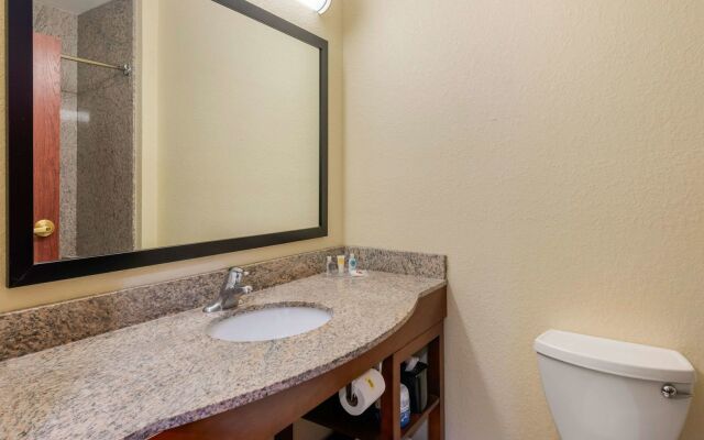 Comfort Inn & Suites St. Pete - Clearwater International Airport