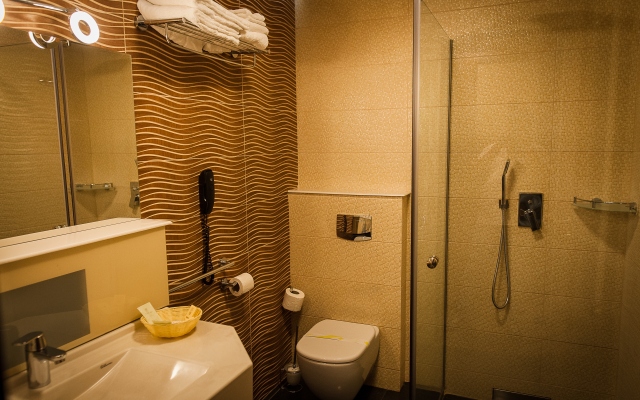 President Spa Baile Felix