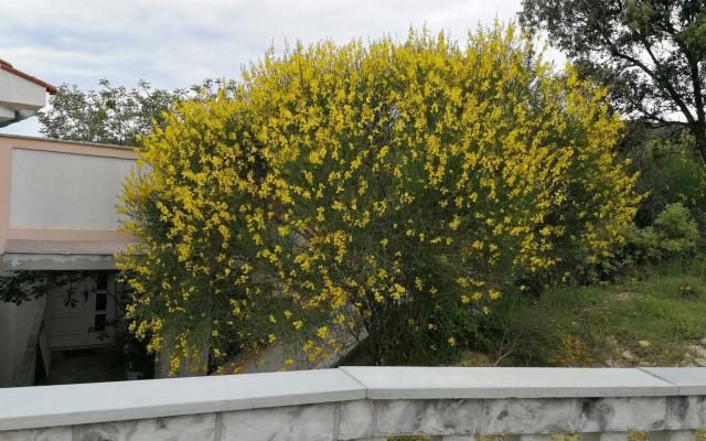 Vila Marija