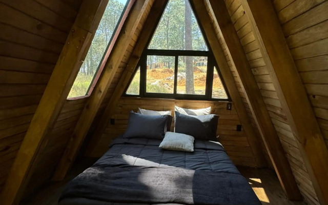 PINE TREE Hotel Boutique & Cabañas