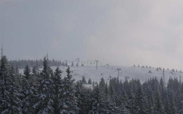 Villa Kostic Kopaonik