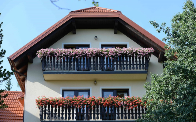 Guest House Koprivnik