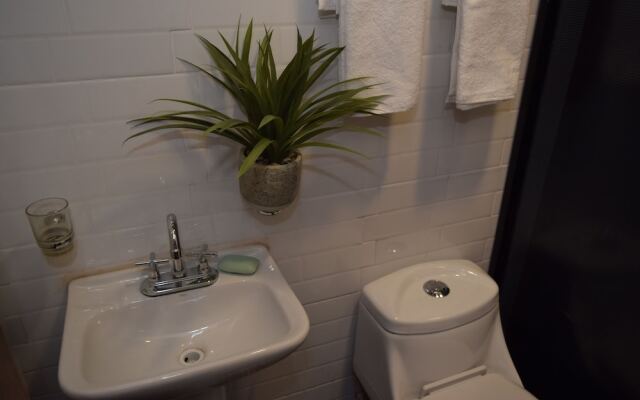 Casa Jardín Reforma