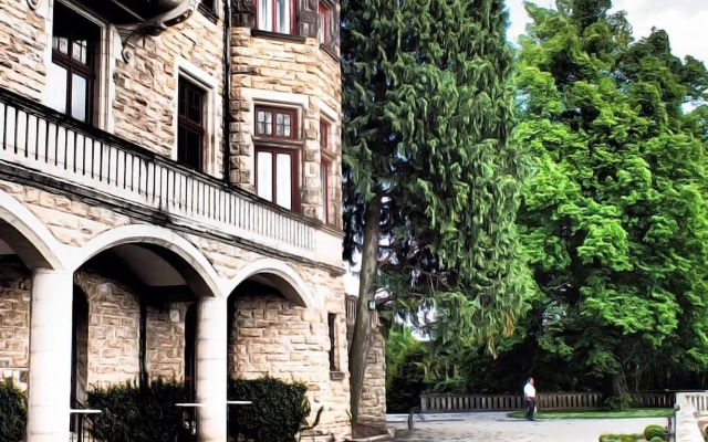 Schloss Hotel Wolfsbrunnen