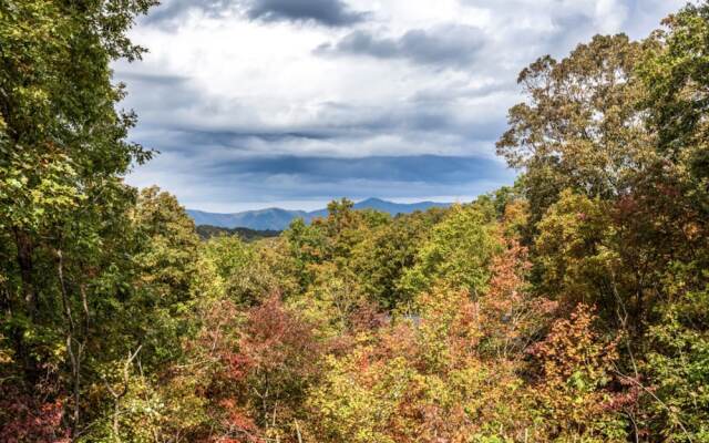 TREETOPS