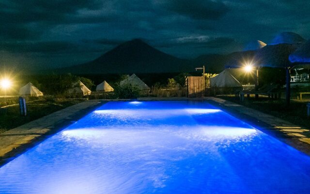Africa Safari Lake Natron