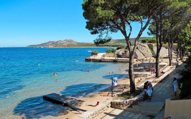 Mimosa Punta Sardegna