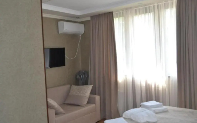 Borjomi cozy house