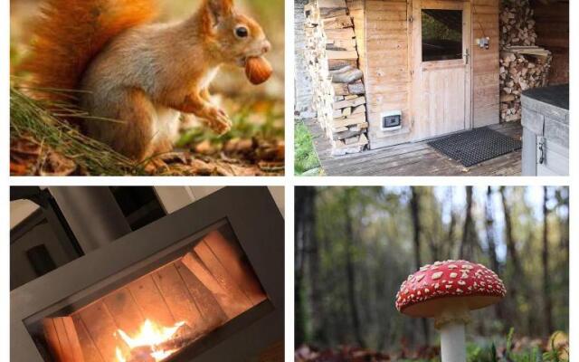 De Meute holiday home with sauna & jacuzzi!