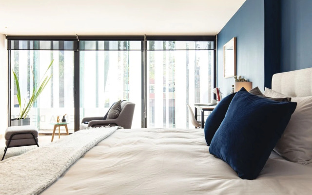 Bright Designer Studio with Balcony in POLANCO