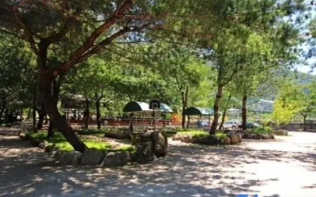 Pines Garden