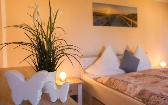 Silbermöwe - Waldstr. 5