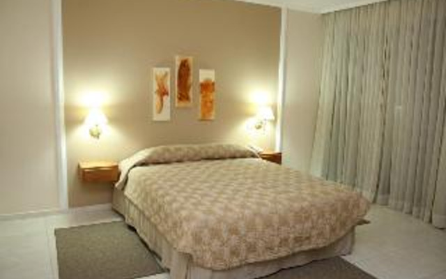 Palmleaf Grand Premium