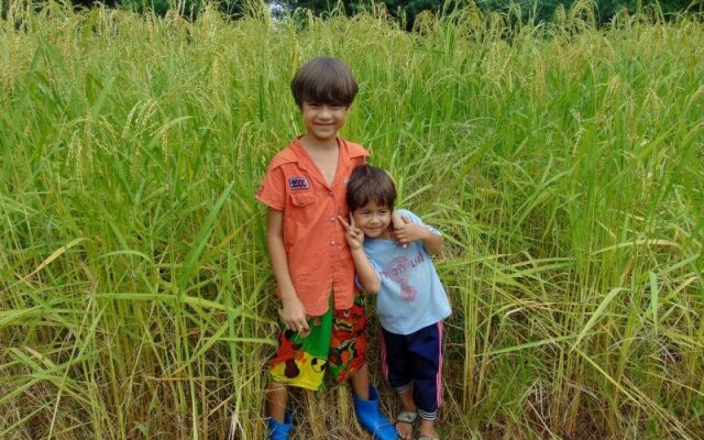 Siam Garden Bungalows