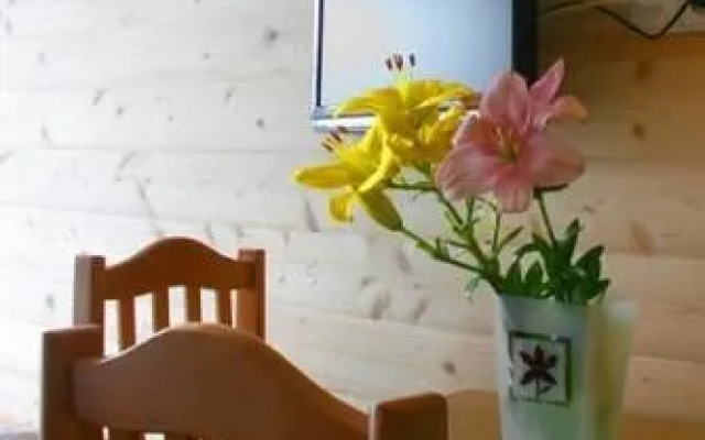 Willa na Olczańskim Wierchu