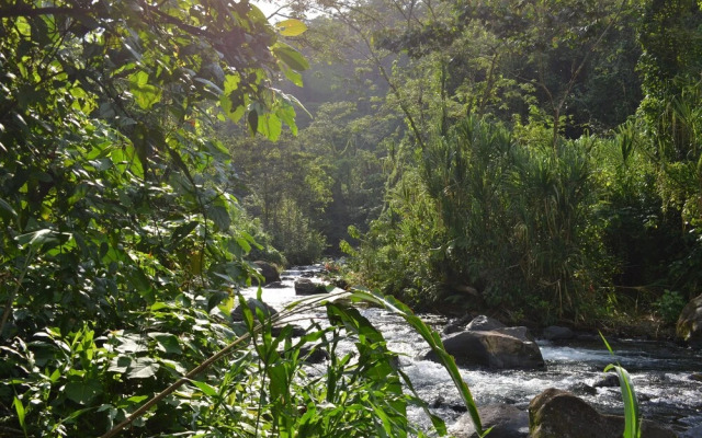 Lumbres del Arenal Cabinas y Villas