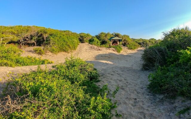 Back of Beyond Dune Camp - Yala