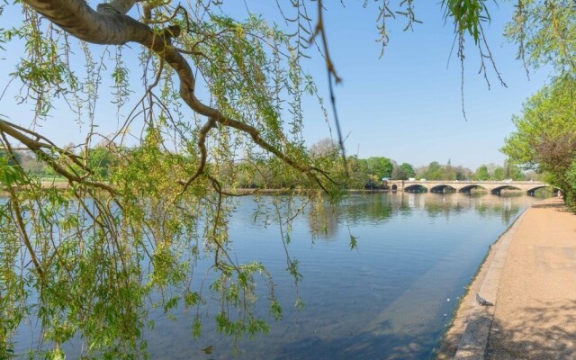 Gorgeous Apartment Paddington