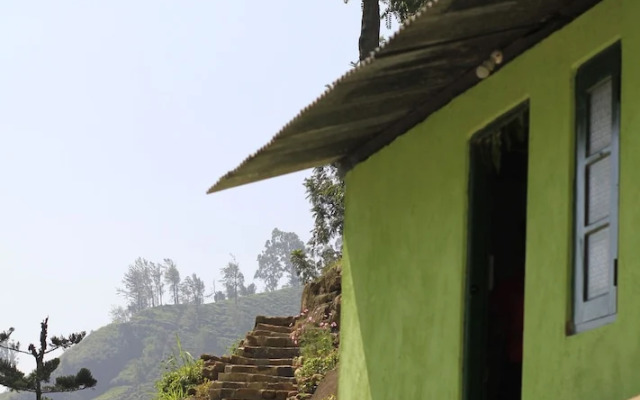 Meena Amma's Tea Experience