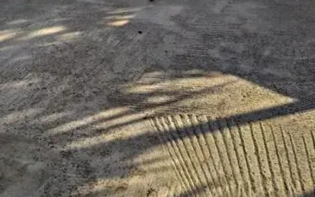 Camera Ulivo - Castelluzzo