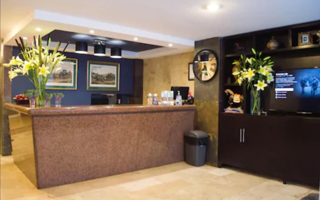 Suites Berna 12