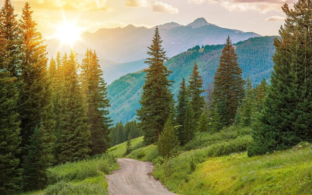 Perry Mansfield - Gray Aspen