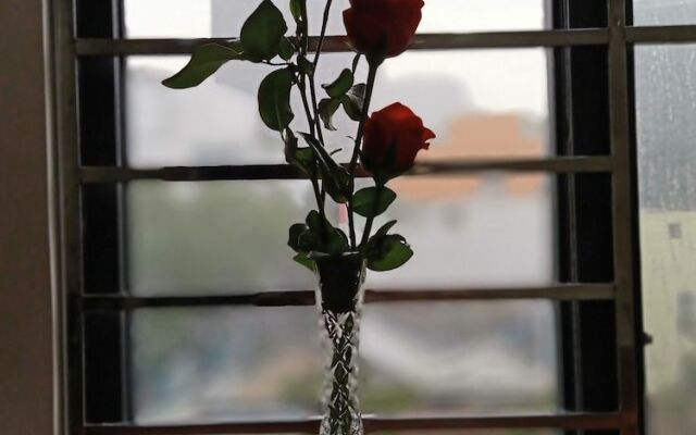 AMILA NGUYEN HUE HOTEL by SAZI