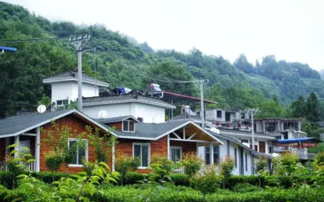 Selenium Tea Ecological Garden