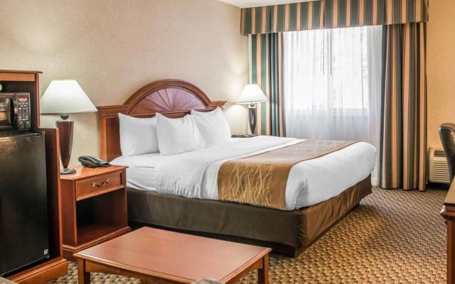 Comfort Inn & Suites