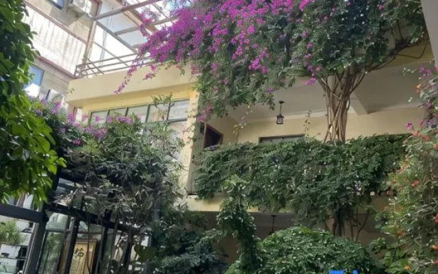 Dali Ziqing Courtyard Inn