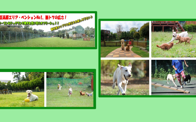 Izu Dog Pension Kotobuki Base