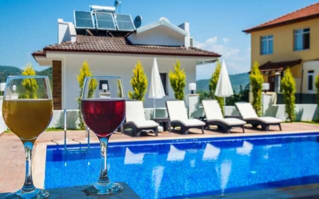 Villa with Private Pool Hisaronu