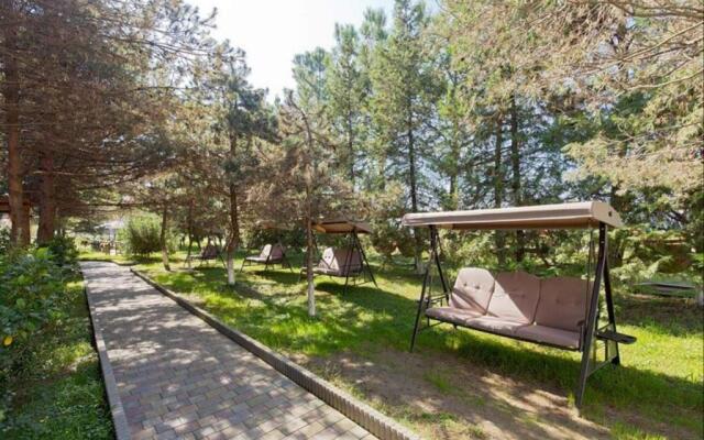 Dreamland Oasis of happiness