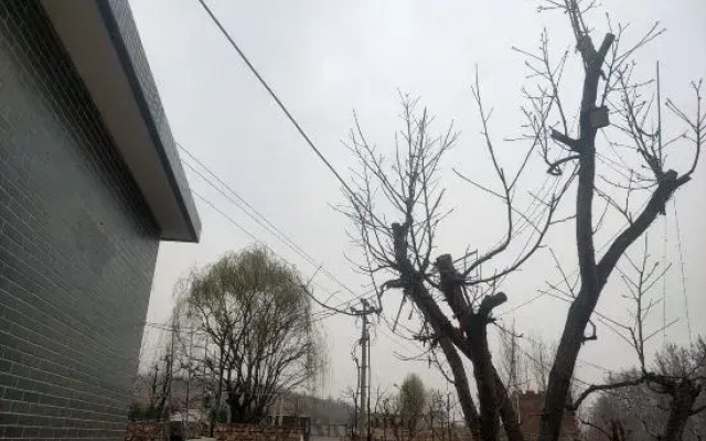 Limu'tai Dongjia Farmhouse