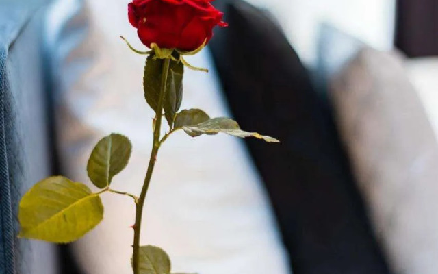 Sophie's Place Augarten